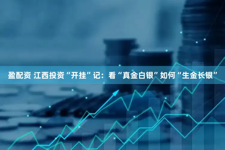 盈配资 江西投资“开挂”记：看“真金白银”如何“生金长银”