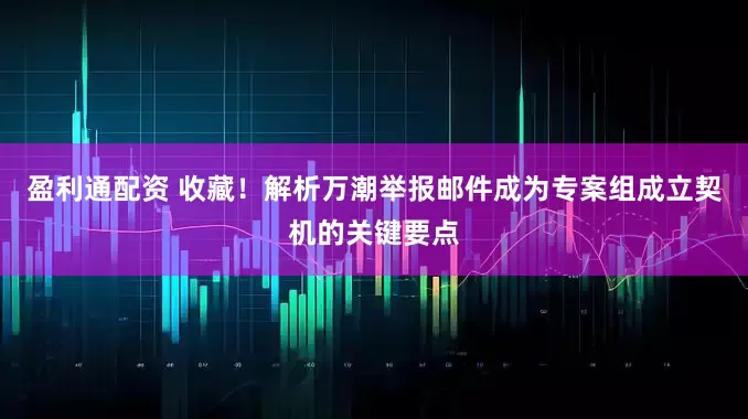 盈利通配资 收藏！解析万潮举报邮件成为专案组成立契机的关键要点