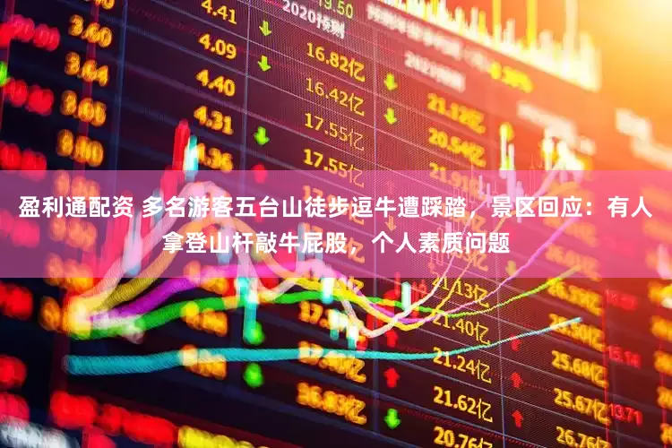 盈利通配资 多名游客五台山徒步逗牛遭踩踏，景区回应：有人拿登山杆敲牛屁股，个人素质问题