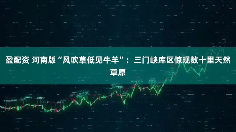 盈配资 河南版“风吹草低见牛羊”：三门峡库区惊现数十里天然草原